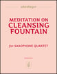 Meditation on Cleansing Fountain P.O.D cover